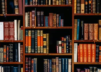 19 Songs About Books