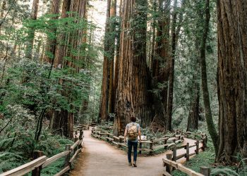 20 Songs About Choices