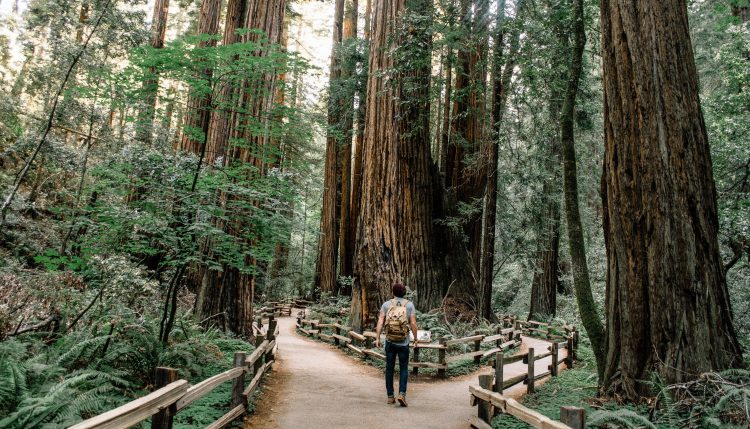 20 Songs About Choices