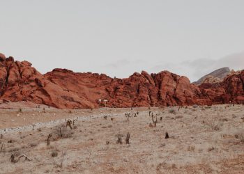 20 Songs About Deserts