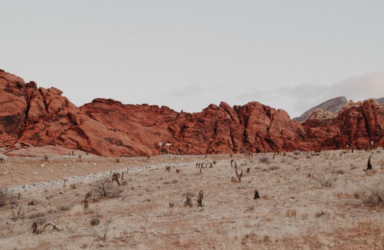 20 Songs About Deserts