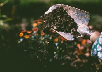 20 Songs About Digging