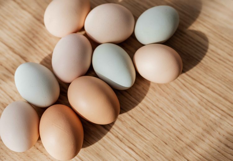20 Songs About Eggs