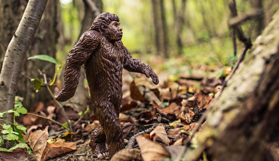 20 Songs About Evolution