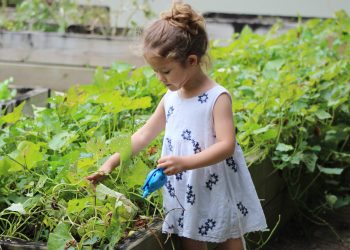 20 Songs About Gardening