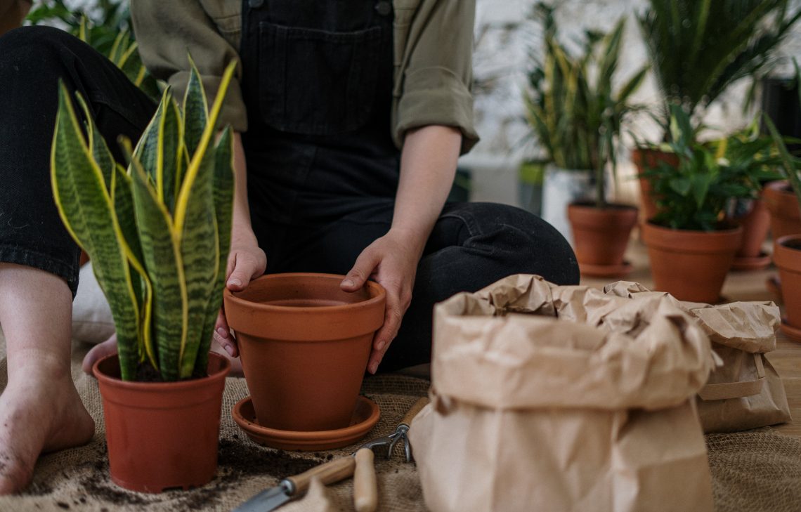 20 Songs About Gardens