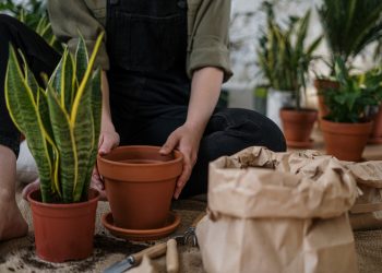 20 Songs About Gardens