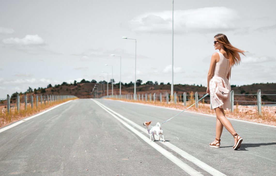 20 Songs About Gloria