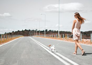 20 Songs About Gloria