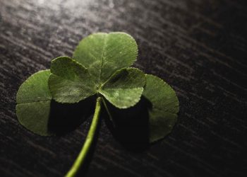 20 Songs About Luck