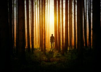 20 Songs About Mystery