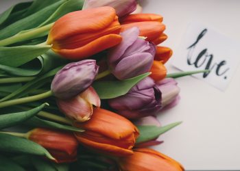 16 Songs About New Love