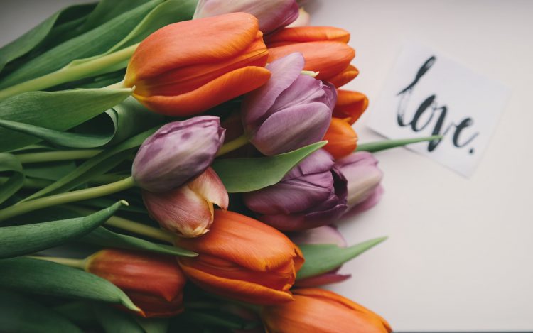 16 Songs About New Love