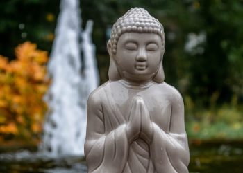 20 Songs About Reincarnation