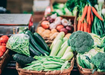 20 Songs About Vegetables