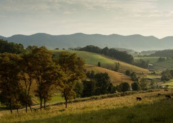 20 Songs about Virginia