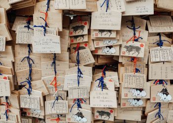 20 Songs About Wishes