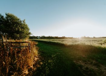 20 Songs About the Midwest