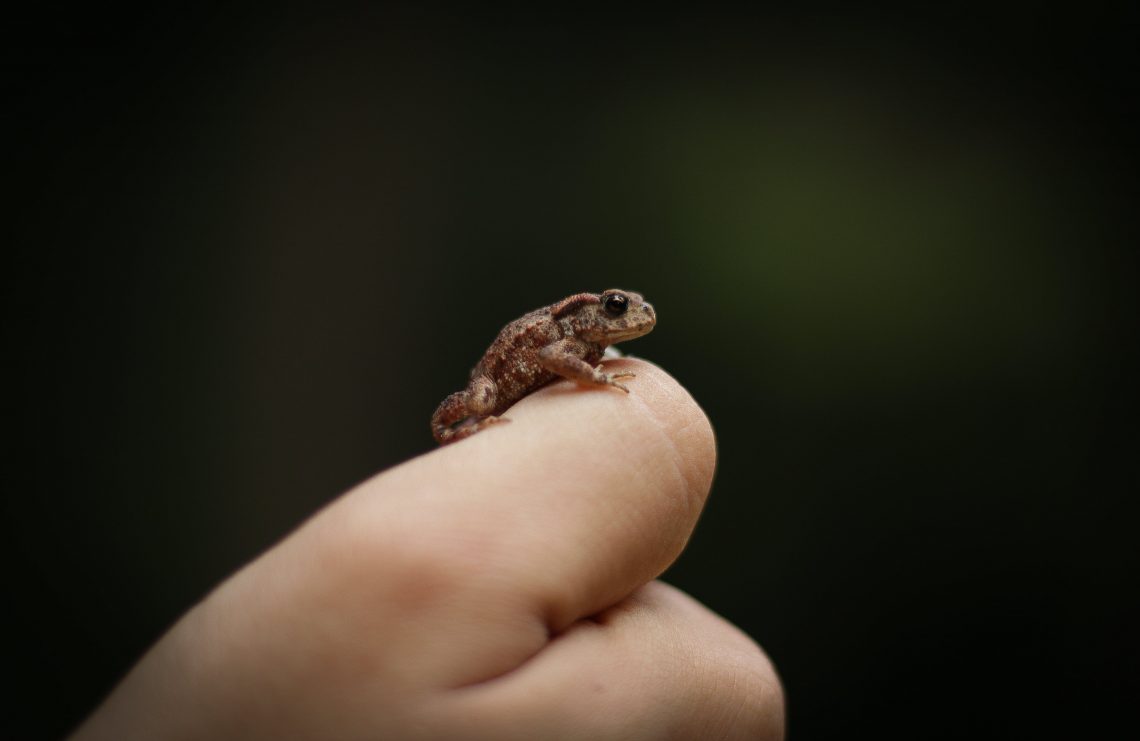 20 Songs With Little in the Title