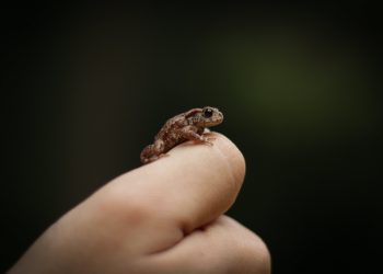 20 Songs With Little in the Title