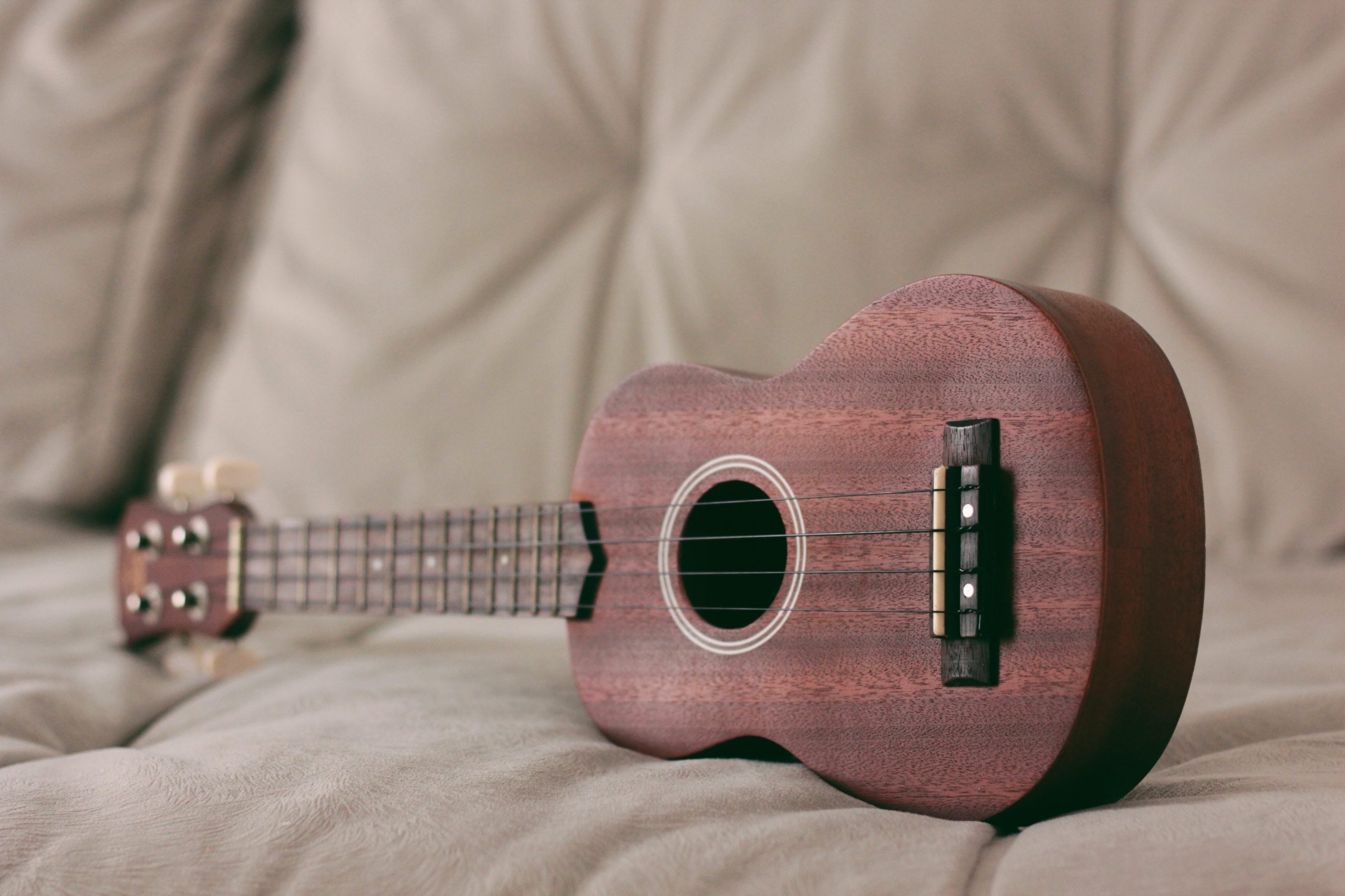 22 Songs About Easy Ukulele Songs Singersroom