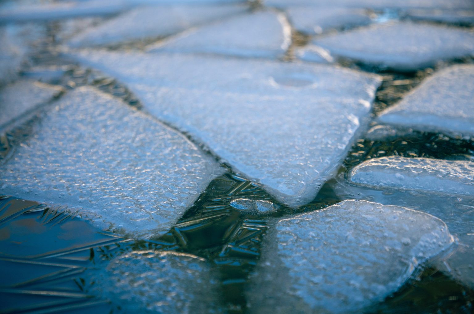 20 Songs about Ice - Singersroom.com