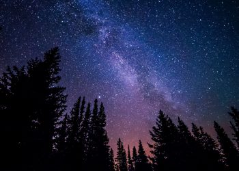 19 Songs about Stars