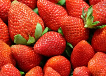 10 Songs about Strawberries
