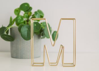 20 Songs That Start With The Letter M