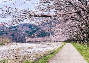 20 Songs With Spring in the Title