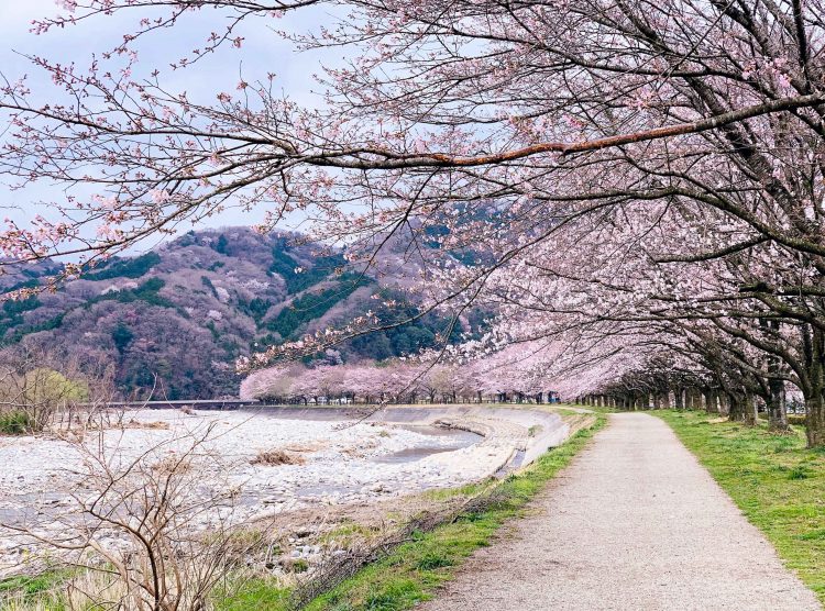 20 Songs With Spring in the Title