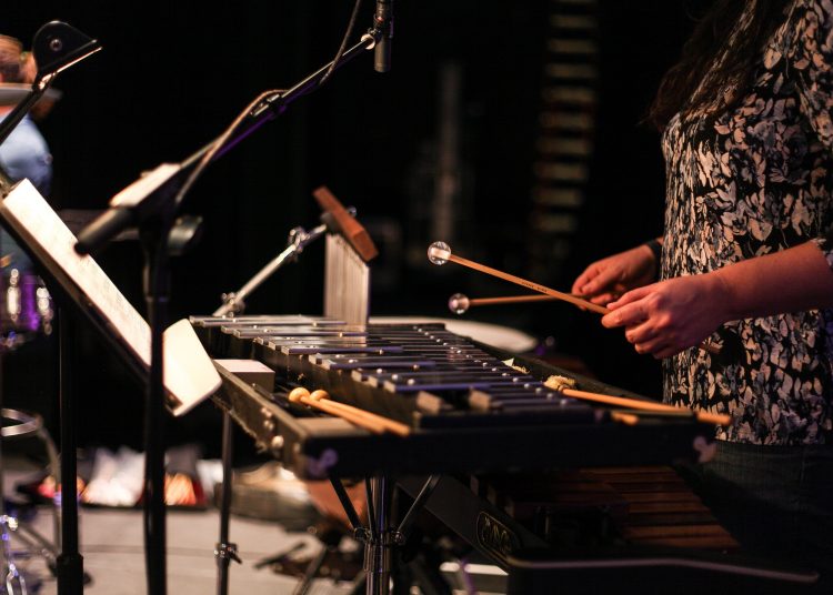 13 Best Musical Instruments That Start With the Letter L