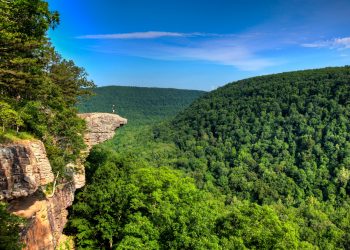 20 Famous Singers from Arkansas