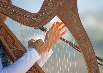 20 Famous Harp Player