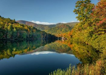 20 Famous Singers from Georgia