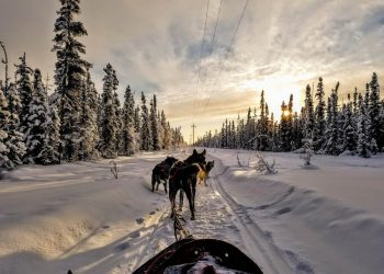 10 Best Songs about Alaska