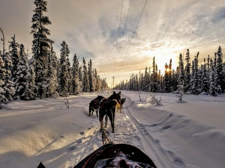 10 Best Songs about Alaska