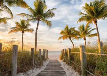 10 Best Songs about Florida