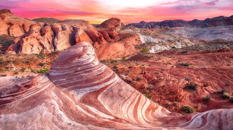 10 Famous Singers from Nevada