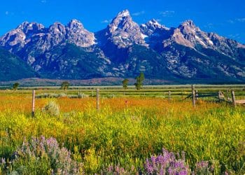 10 Famous Singers from Wyoming