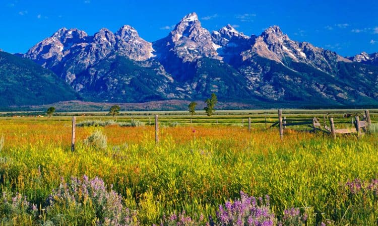 10 Famous Singers from Wyoming