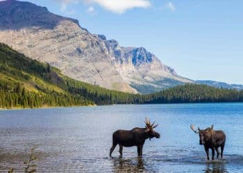 10 Famous Singers from Montana