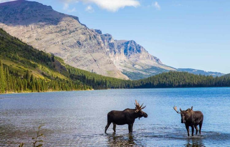 10 Famous Singers from Montana