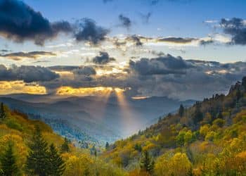 10 Famous Singers from Tennessee