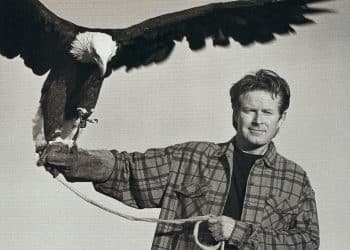 10 Best Don Henley Songs of All Time