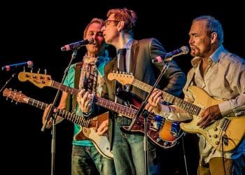 10 Best The Box Tops Songs of All Time