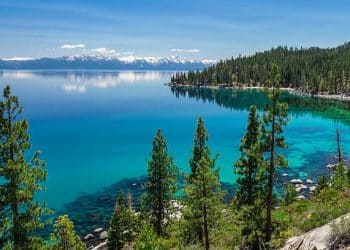 10 Famous Singers from Nevada