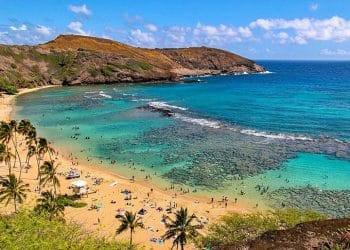 10 Famous Singers from Hawaii