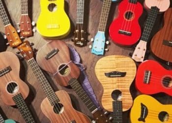 15 Best Ukulele Players of All Time