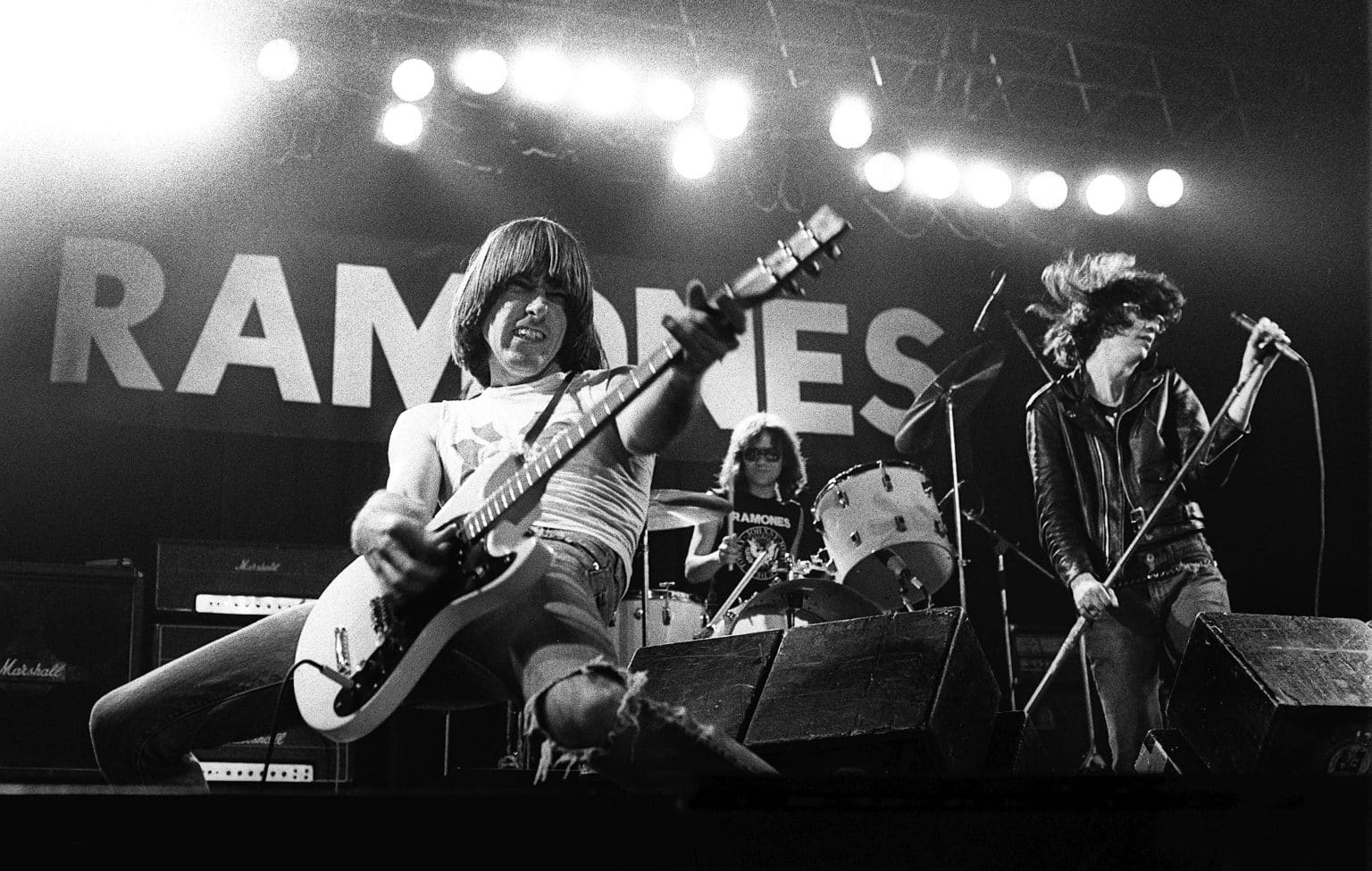 15 Best Punk Rock Singers of All Time